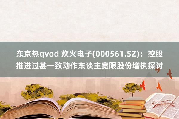 东京热qvod 炊火电子(000561.SZ)：控股推进过甚一致动作东谈主宽限股份增执探讨