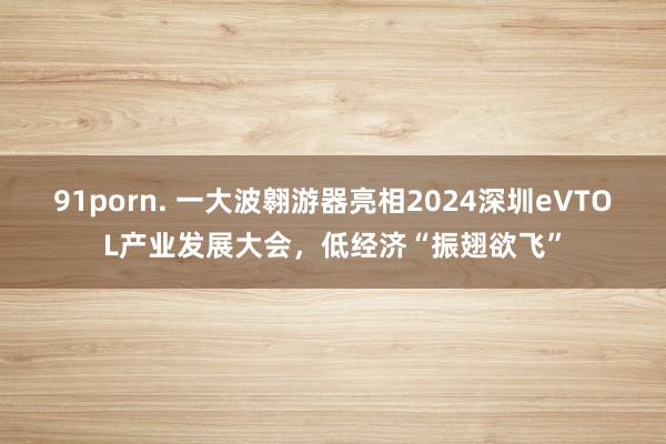 91porn. 一大波翱游器亮相2024深圳eVTOL产业发展大会，低经济“振翅欲飞”