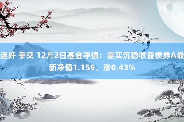 迷奸 拳交 12月2日基金净值：嘉实沉稳收益债券A最新净值1.159，涨0.43%