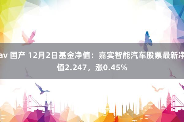 av 国产 12月2日基金净值：嘉实智能汽车股票最新净值2.247，涨0.45%