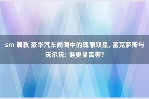 sm 调教 豪华汽车阛阓中的瑰丽双星， 雷克萨斯与沃尔沃: 谁更显高等?