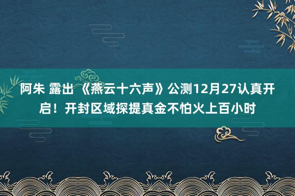 阿朱 露出 《燕云十六声》公测12月27认真开启！开封区域探提真金不怕火上百小时