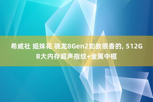 希威社 姐妹花 骁龙8Gen2如故很香的， 512GB大内存超声指纹+金属中框