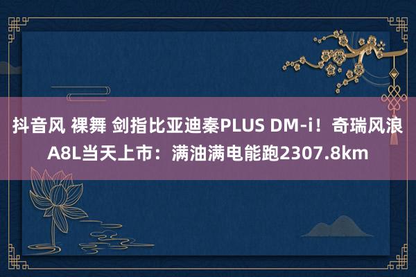 抖音风 裸舞 剑指比亚迪秦PLUS DM-i！奇瑞风浪A8L当天上市：满油满电能跑2307.8km