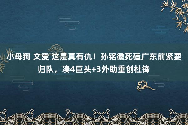 小母狗 文爱 这是真有仇！孙铭徽死磕广东前紧要归队，凑4巨头+3外助重创杜锋