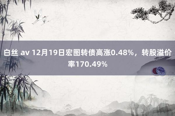 白丝 av 12月19日宏图转债高涨0.48%，转股溢价率170.49%