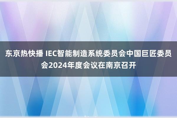 东京热快播 IEC智能制造系统委员会中国巨匠委员会2024年度会议在南京召开