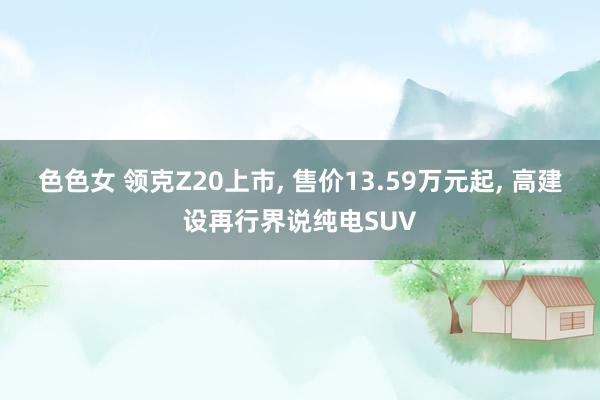 色色女 领克Z20上市， 售价13.59万元起， 高建设再行界说纯电SUV