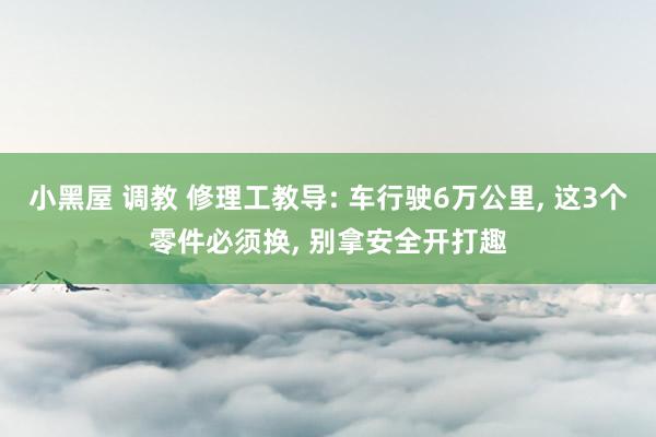 小黑屋 调教 修理工教导: 车行驶6万公里， 这3个零件必须换， 别拿安全开打趣