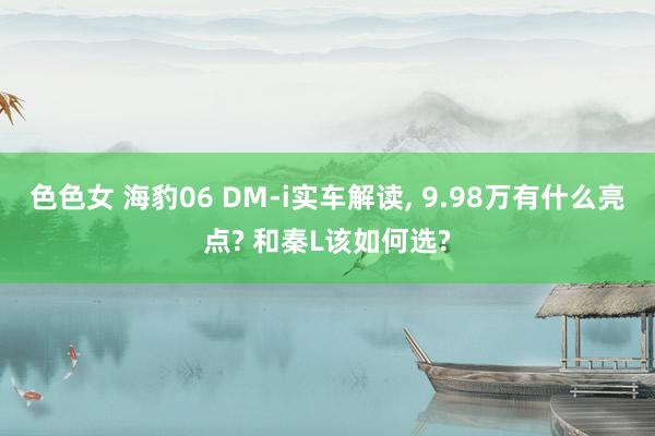 色色女 海豹06 DM-i实车解读， 9.98万有什么亮点? 和秦L该如何选?