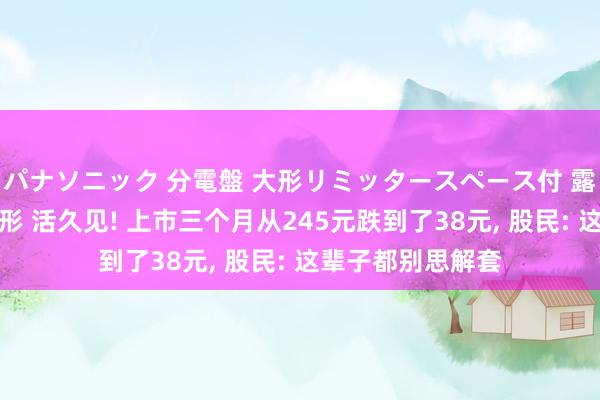 パナソニック 分電盤 大形リミッタースペース付 露出・半埋込両用形 活久见! 上市三个月从245元跌到了38元， 股民: 这辈子都别思解套