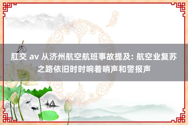 肛交 av 从济州航空航班事故提及: 航空业复苏之路依旧时时响着哨声和警报声