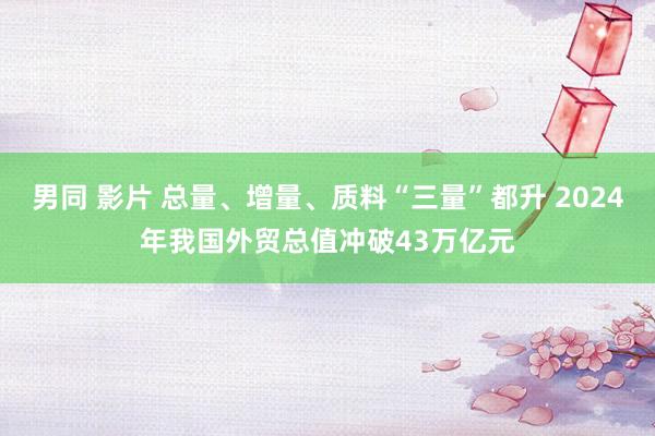 男同 影片 总量、增量、质料“三量”都升 2024年我国外贸总值冲破43万亿元