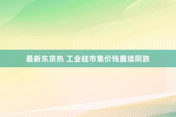 最新东京热 工业硅市集价钱握续阴跌